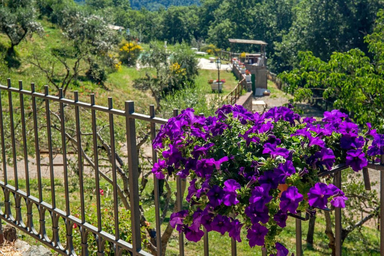 Podere Figlinelle Starda エクステリア 写真